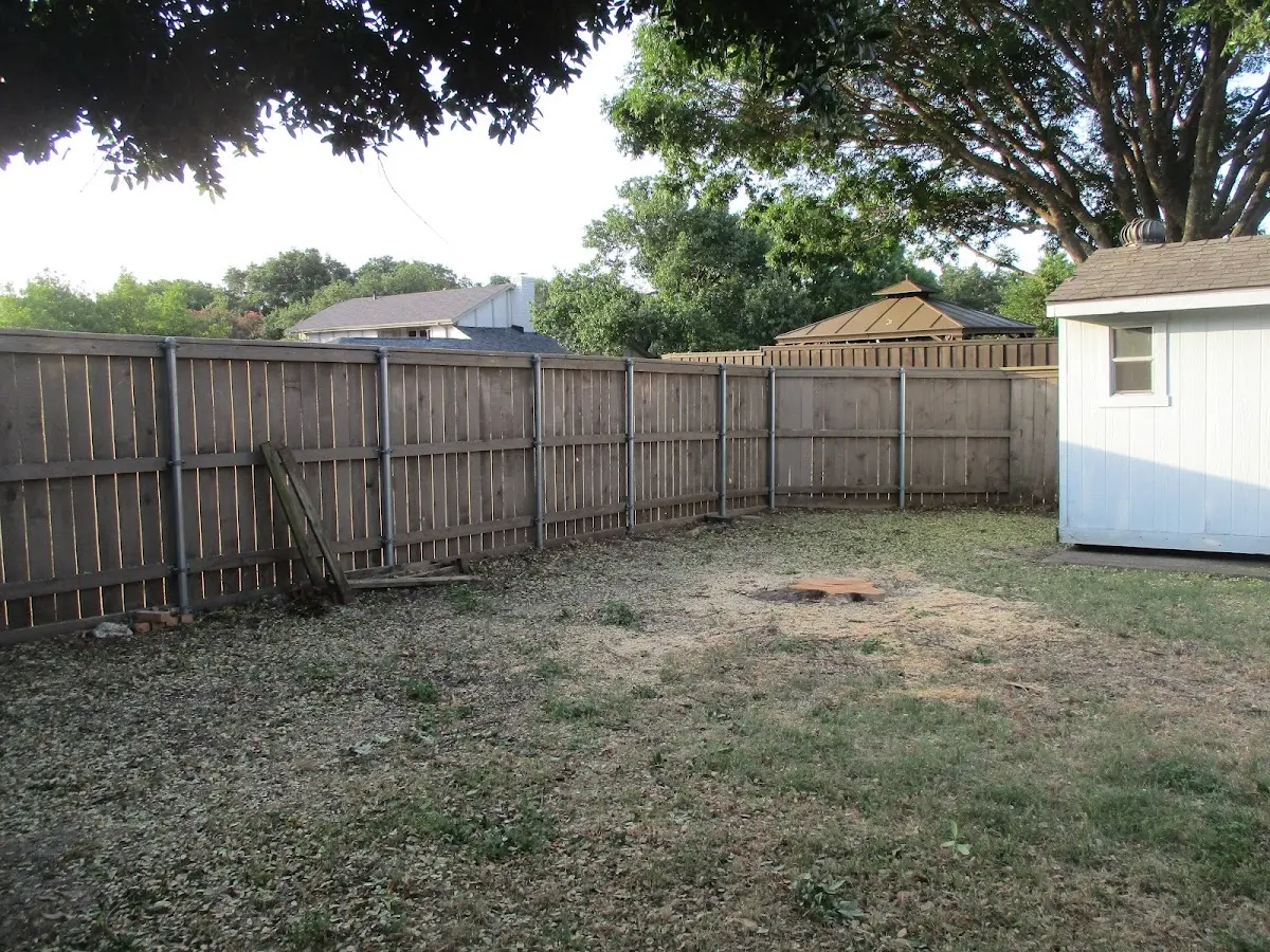 Cleared yard after professional tree removal in Stone