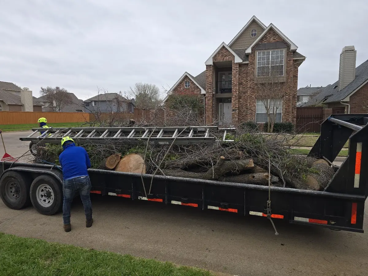 Expert Lot Clearing with proper safety equipment in Stone